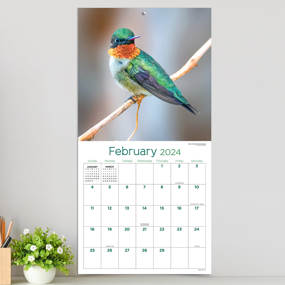 2024 Backyard Birds Wall Calendar TF Publishing Calendars