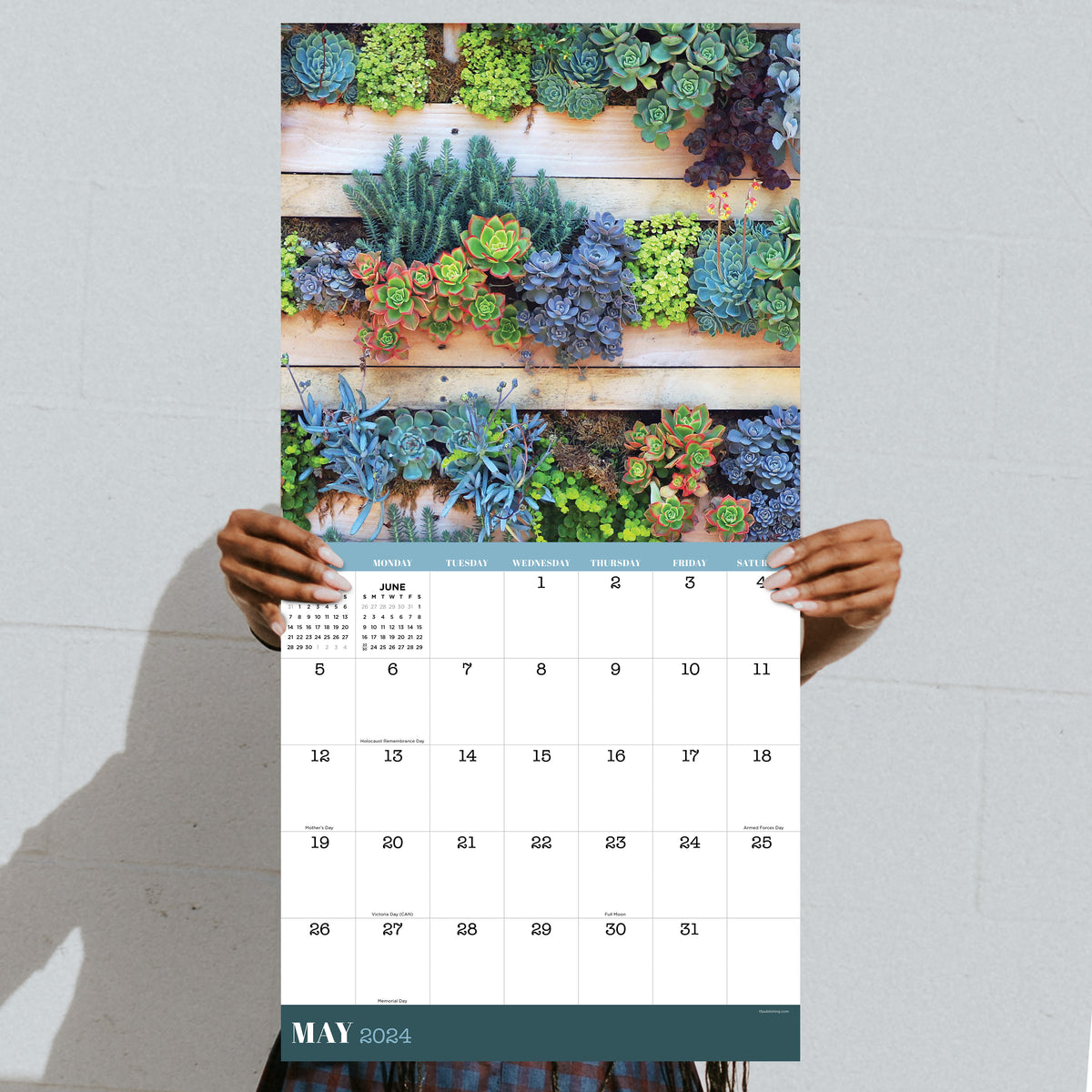 2024 Succulents Wall Calendar TF Publishing Calendars + Planners