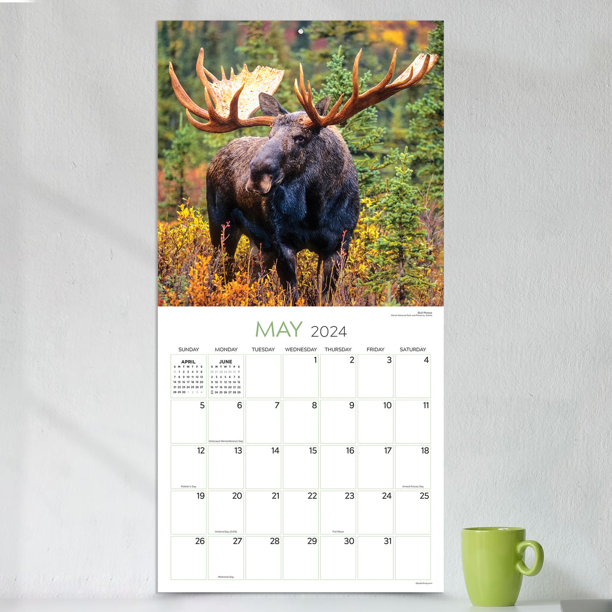 Acheter Call of the Wild Calendar 2024