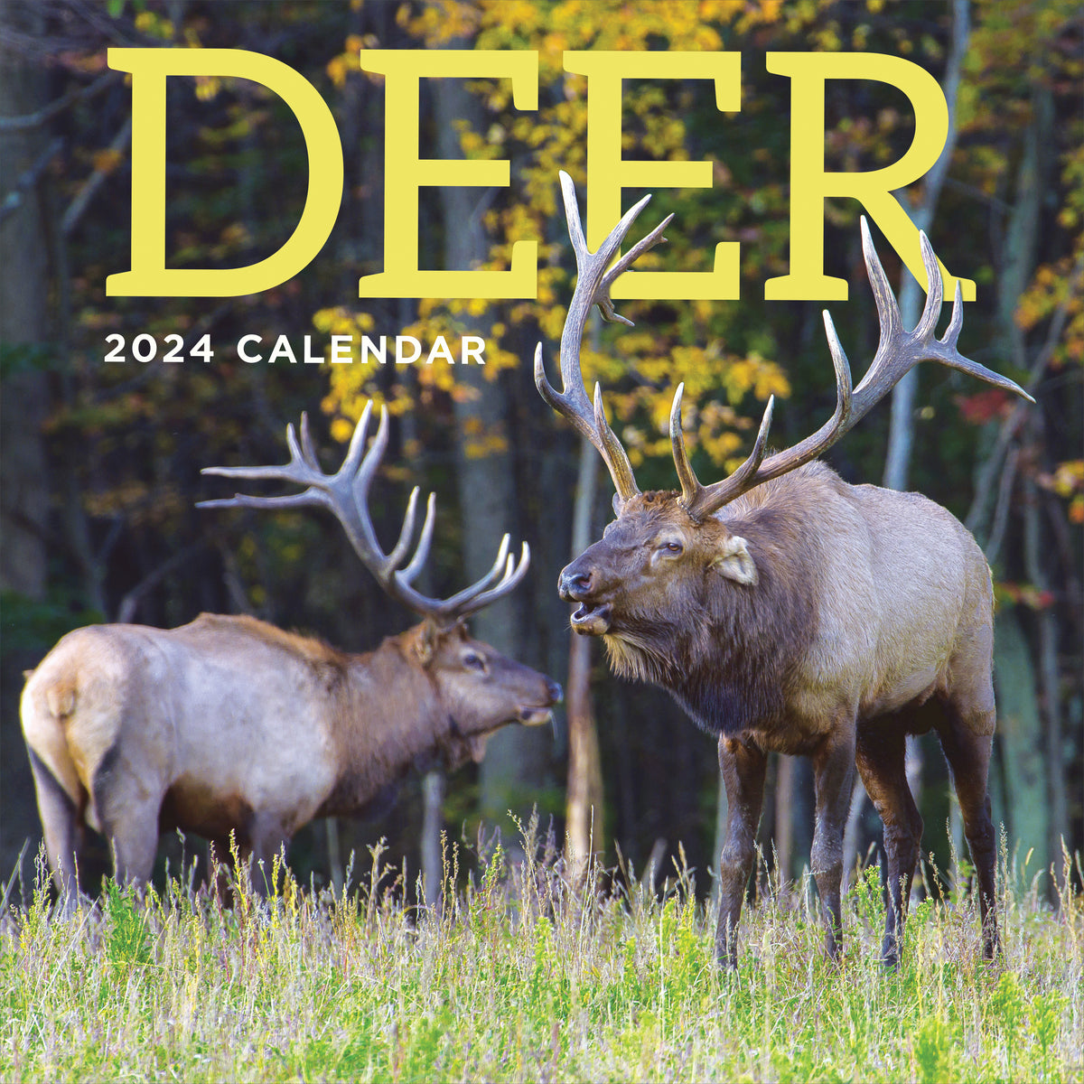 2024 Deer Wall Calendar TF Publishing Calendars + Planners