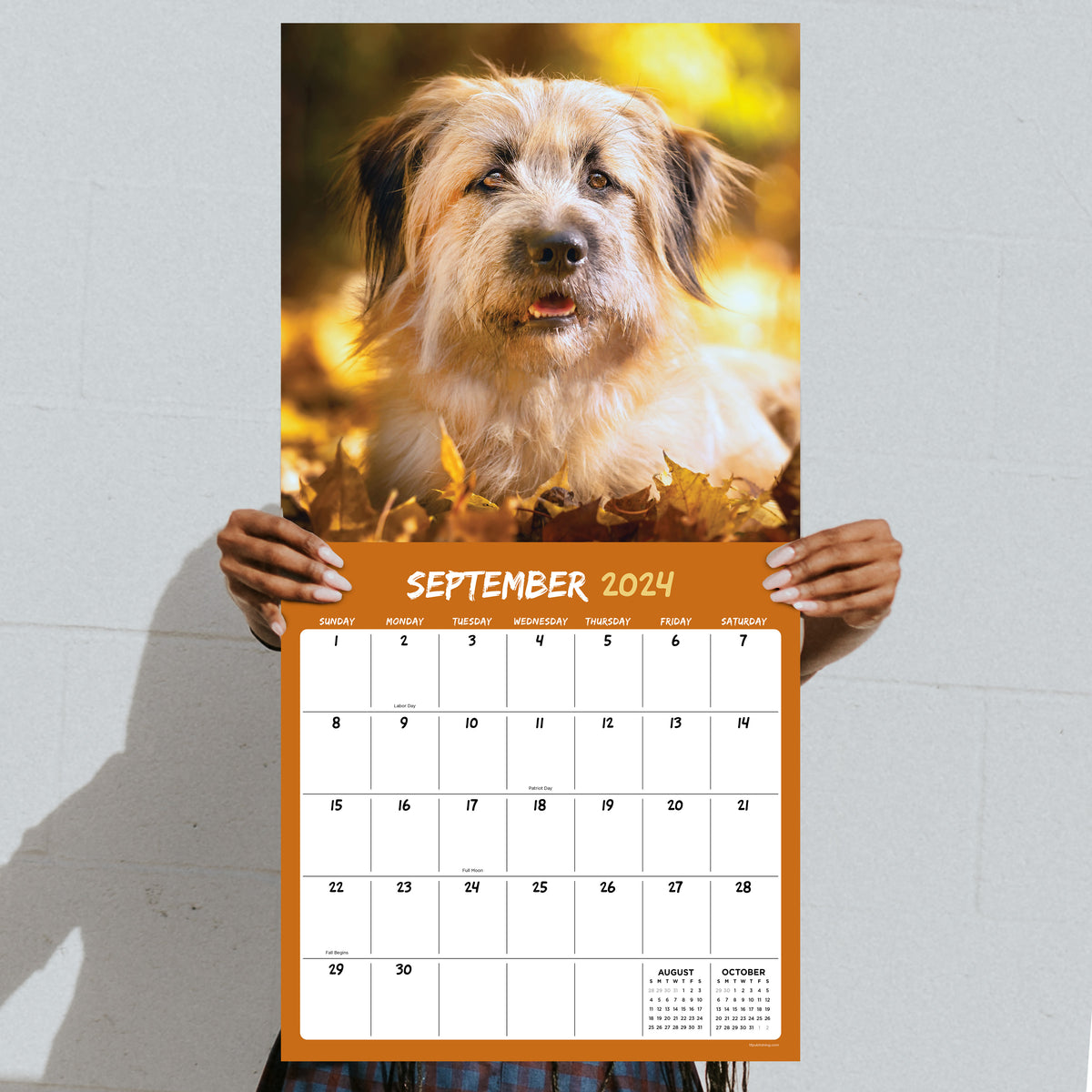 2024 Mutts Wall Calendar TF Publishing Calendars + Planners