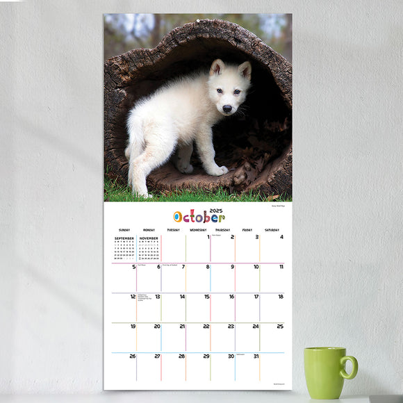 2025 Baby Animals Wall Calendar TF Publishing Calendars + Planners