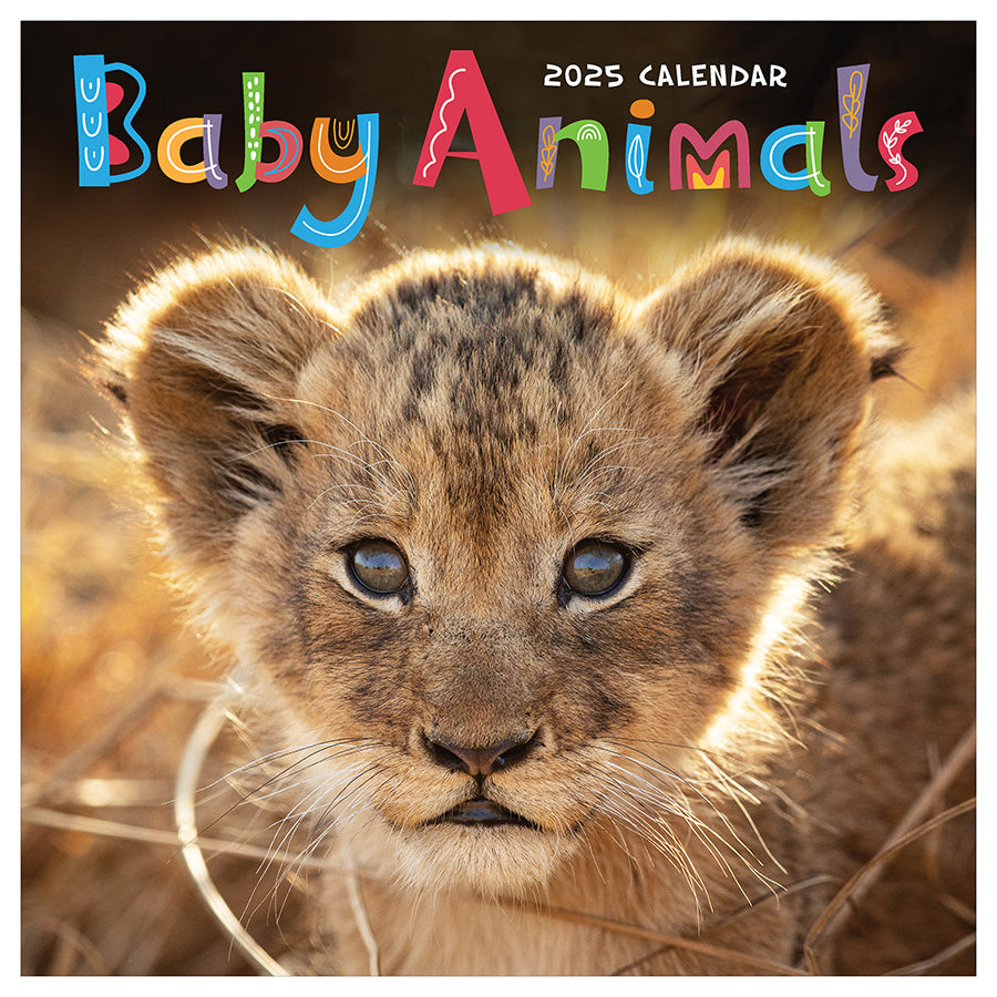 2025 Baby Animals Wall Calendar