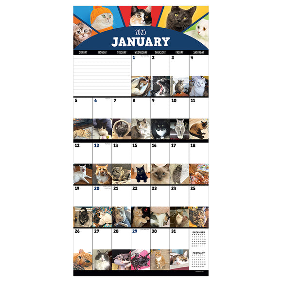 2025 CatADay Wall Calendar TF Publishing Calendars + Planners Journals + Stationery