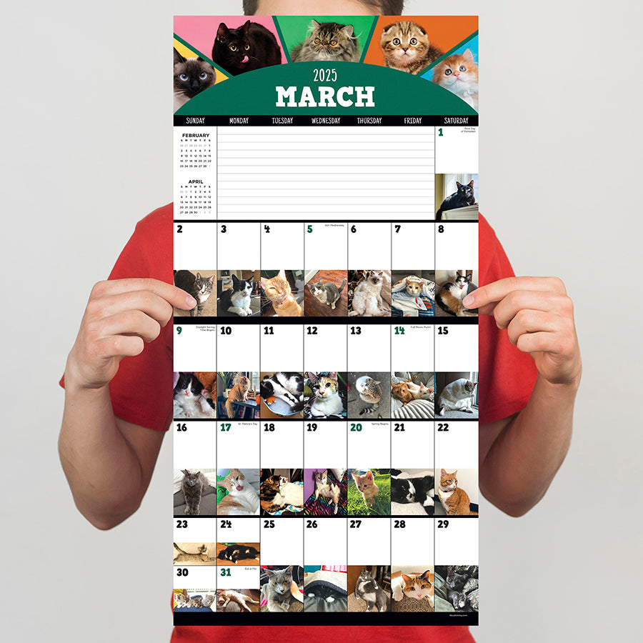 **FINAL SALE** 2025 Cat-A-Day Wall Calendar