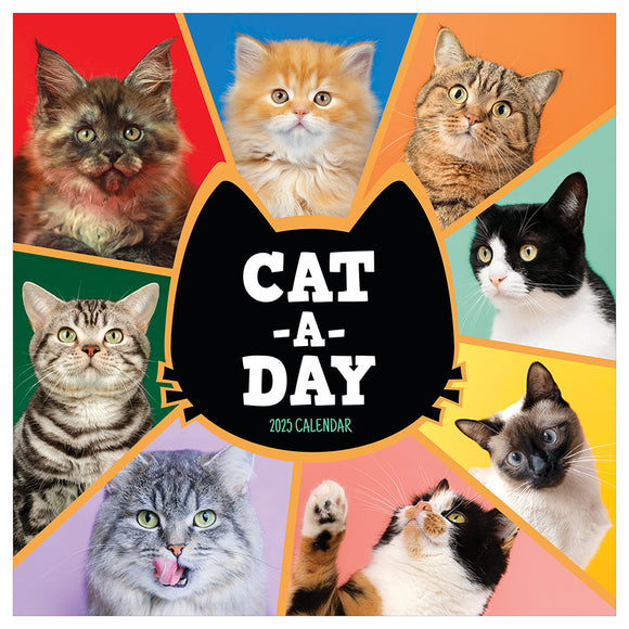 2025 CatADay Wall Calendar TF Publishing Calendars + Planners Journals + Stationery