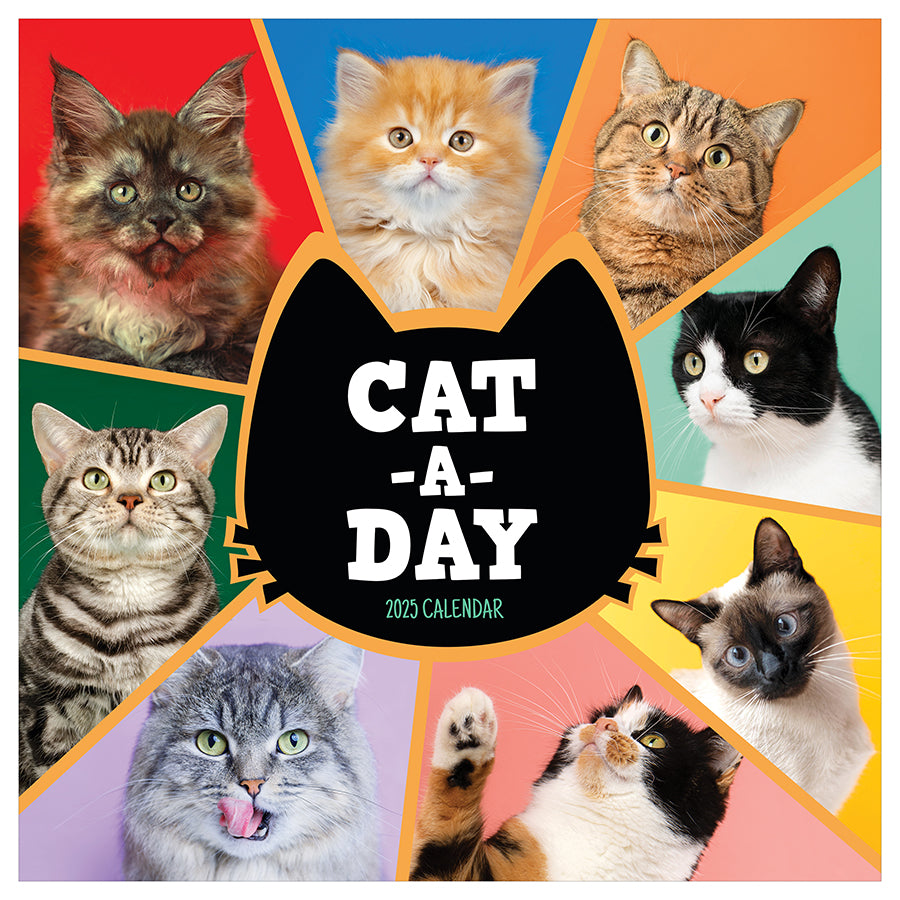 2025 Cat-A-Day Wall Calendar