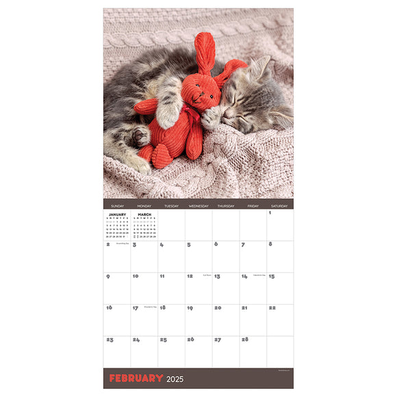 2025 Cat Dreams Wall Calendar | TF Publishing | Calendars + Planners ...