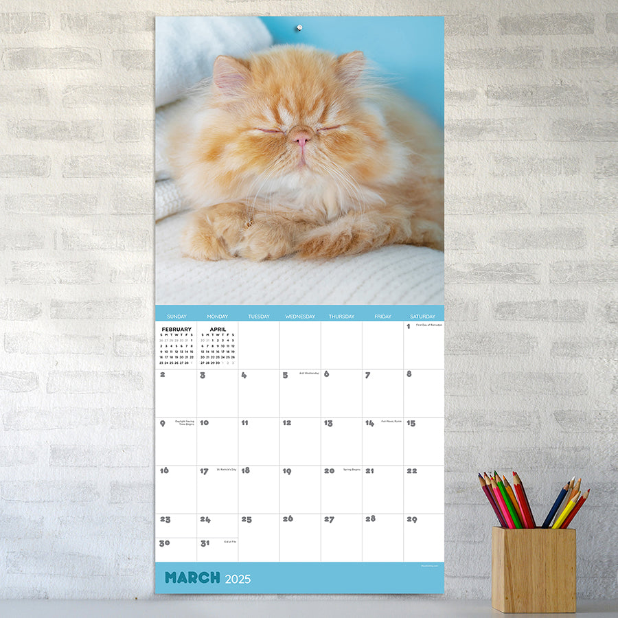 **FINAL SALE** 2025 Cat Dreams Wall Calendar