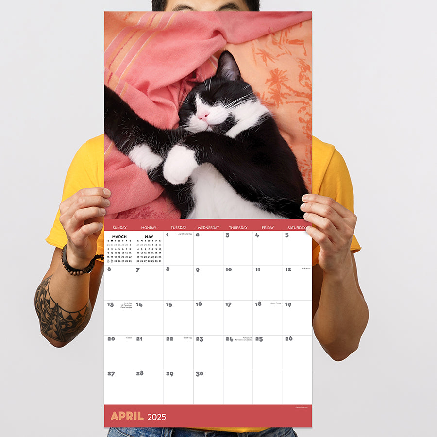 **FINAL SALE** 2025 Cat Dreams Wall Calendar