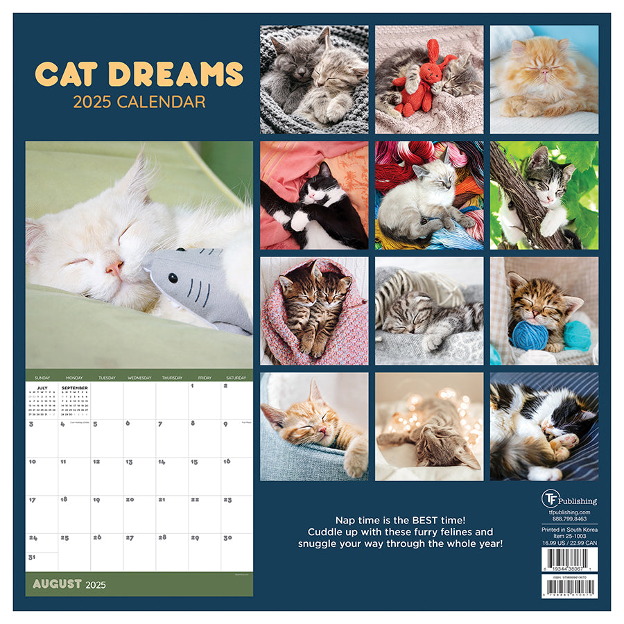 **FINAL SALE** 2025 Cat Dreams Wall Calendar