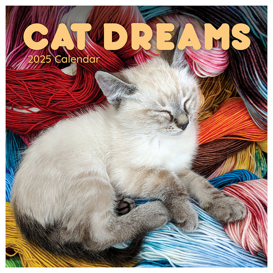 2025 Cat Dreams Wall Calendar