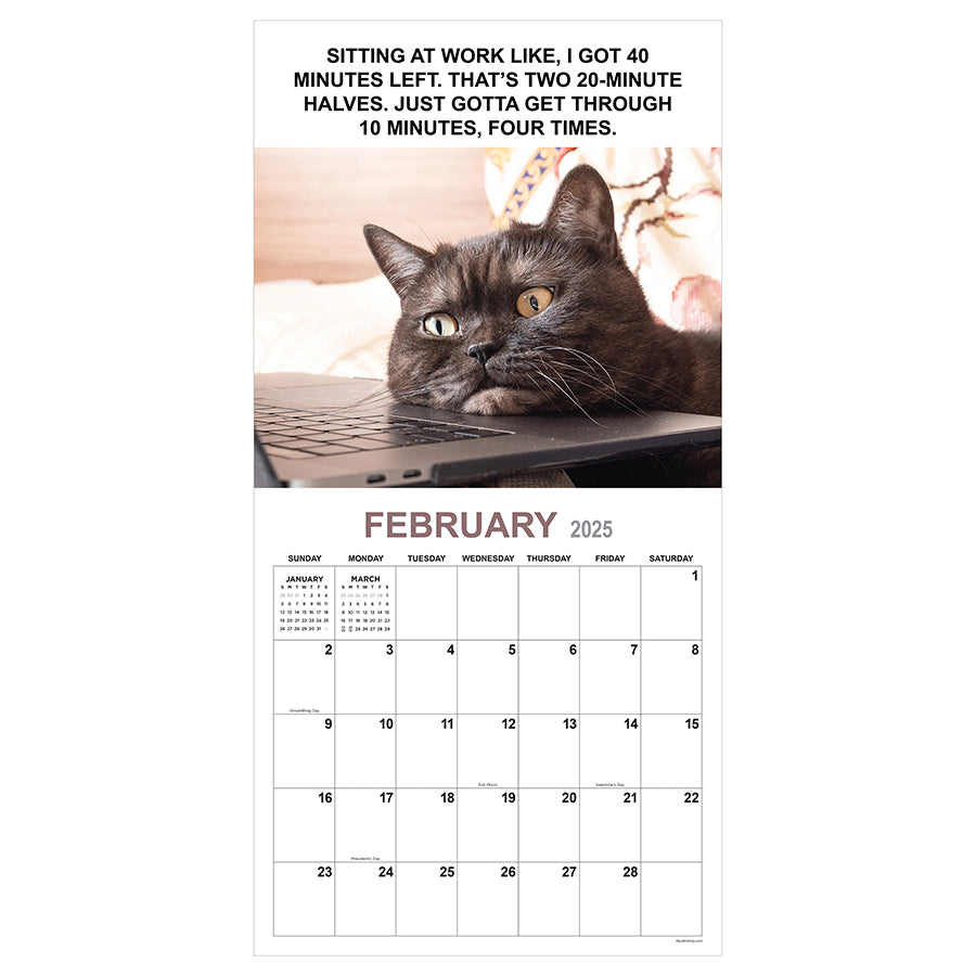 2025 Corporate Cats Wall Calendar - 0