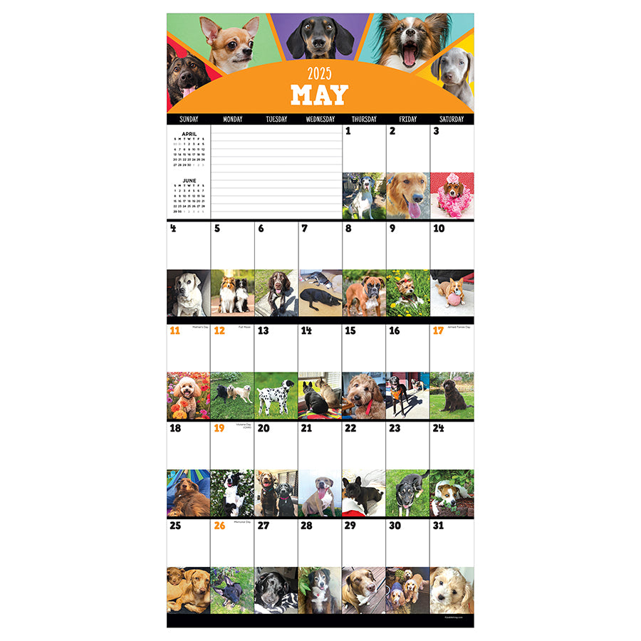 2025 Dog-A-Day Wall Calendar - 0