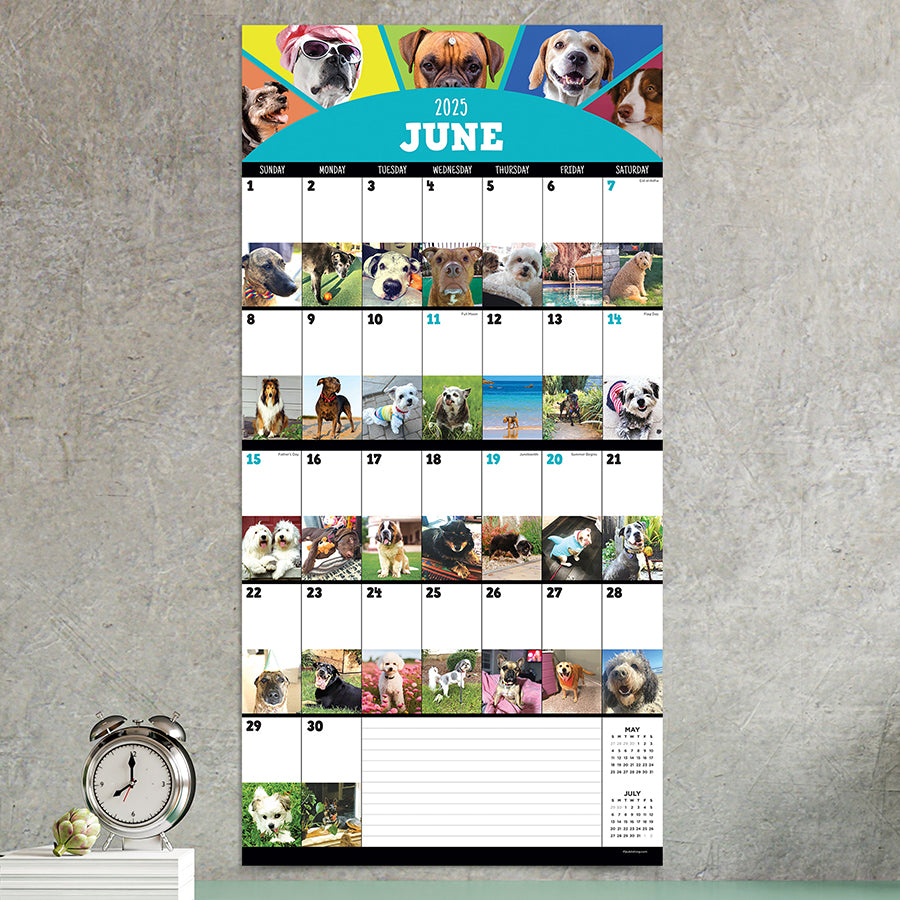 2025 Dog-A-Day Wall Calendar