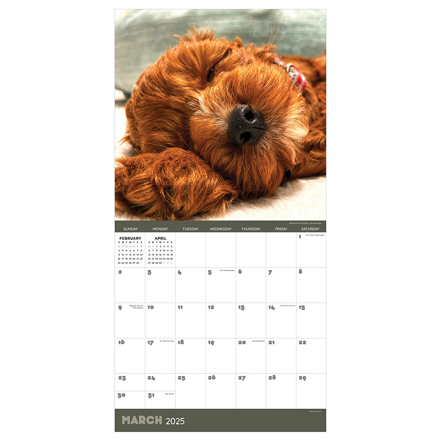 2025 Dog Dreams Wall Calendar - 0