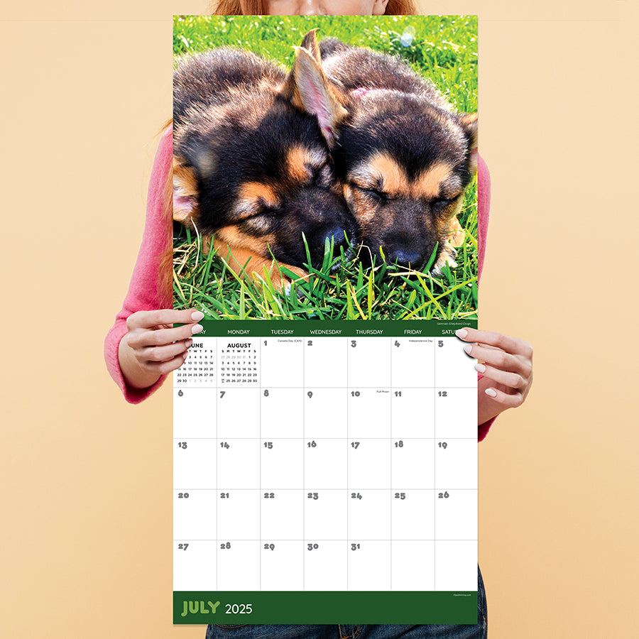 2025 Dog Dreams Wall Calendar