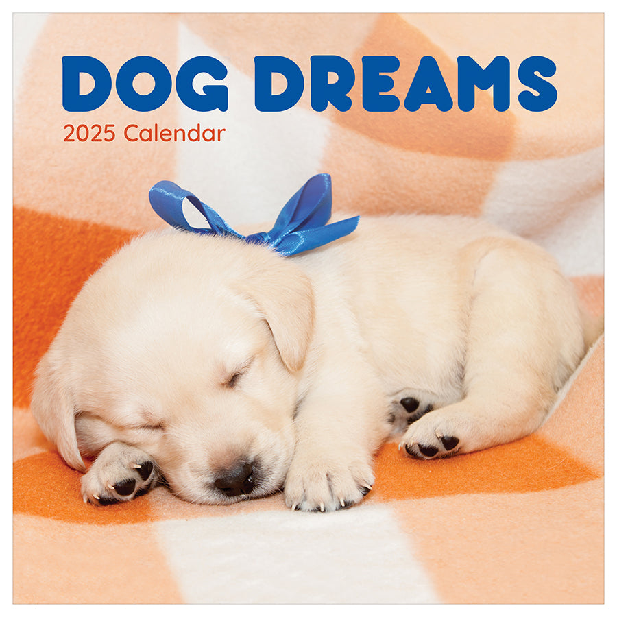 2025 Dog Dreams Wall Calendar
