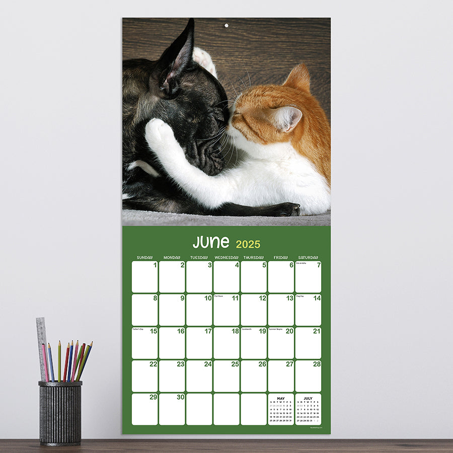 **FINAL SALE** 2025 Furry Friends Wall Calendar