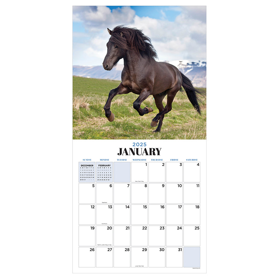 2025 Horses Wall Calendar - 0