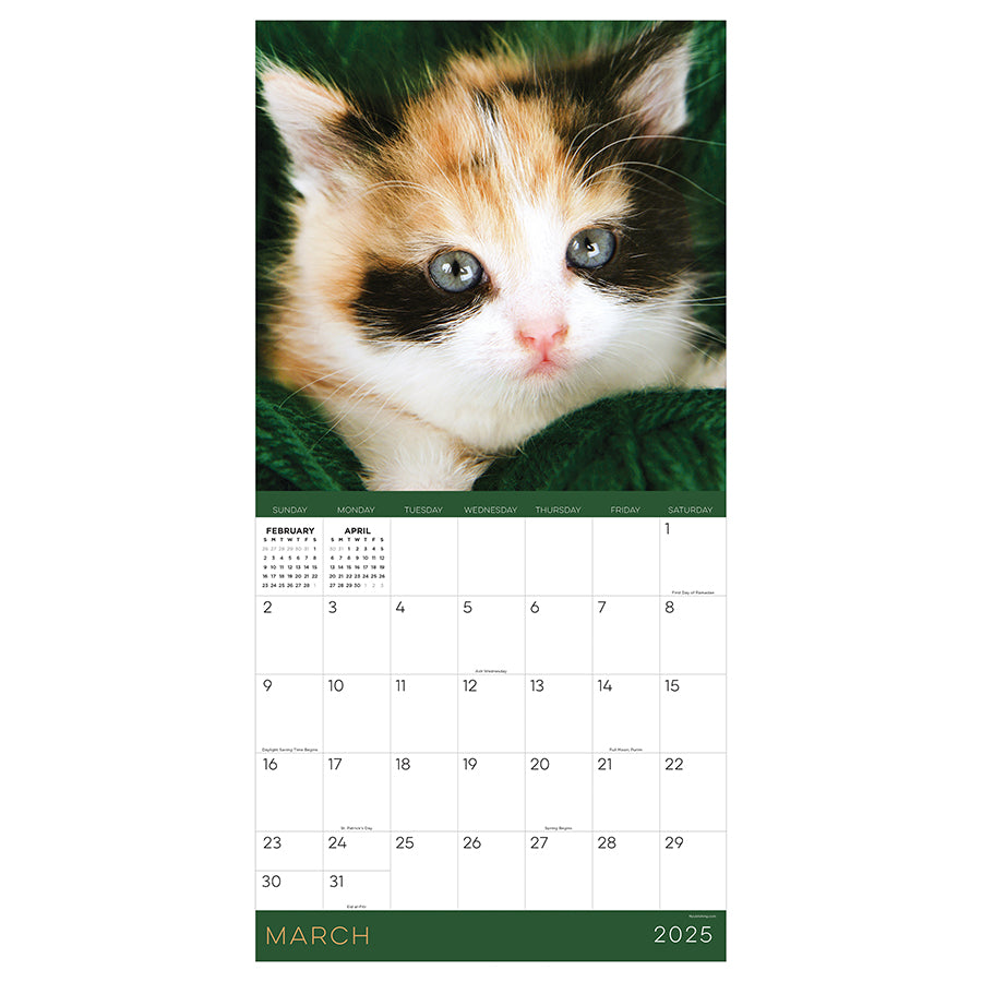 2025 Kittens Wall Calendar - 0