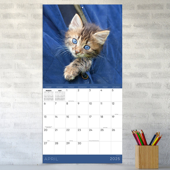 2025 Kittens Wall Calendar | TF Publishing | Calendars + Planners ...