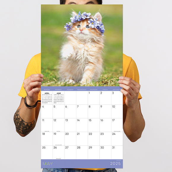 Kittens 2025 Calendar 