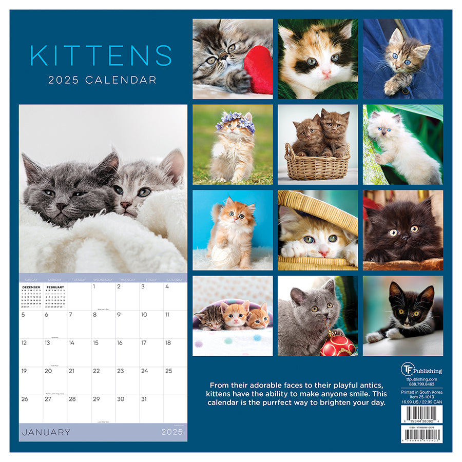 2025 Kittens Wall Calendar | TF Publishing | Calendars + Planners ...