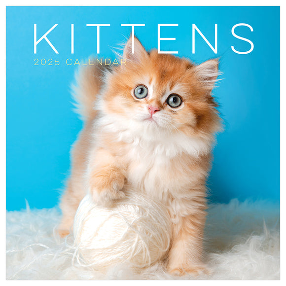 2025 Kittens Wall Calendar TF Publishing Calendars + Planners