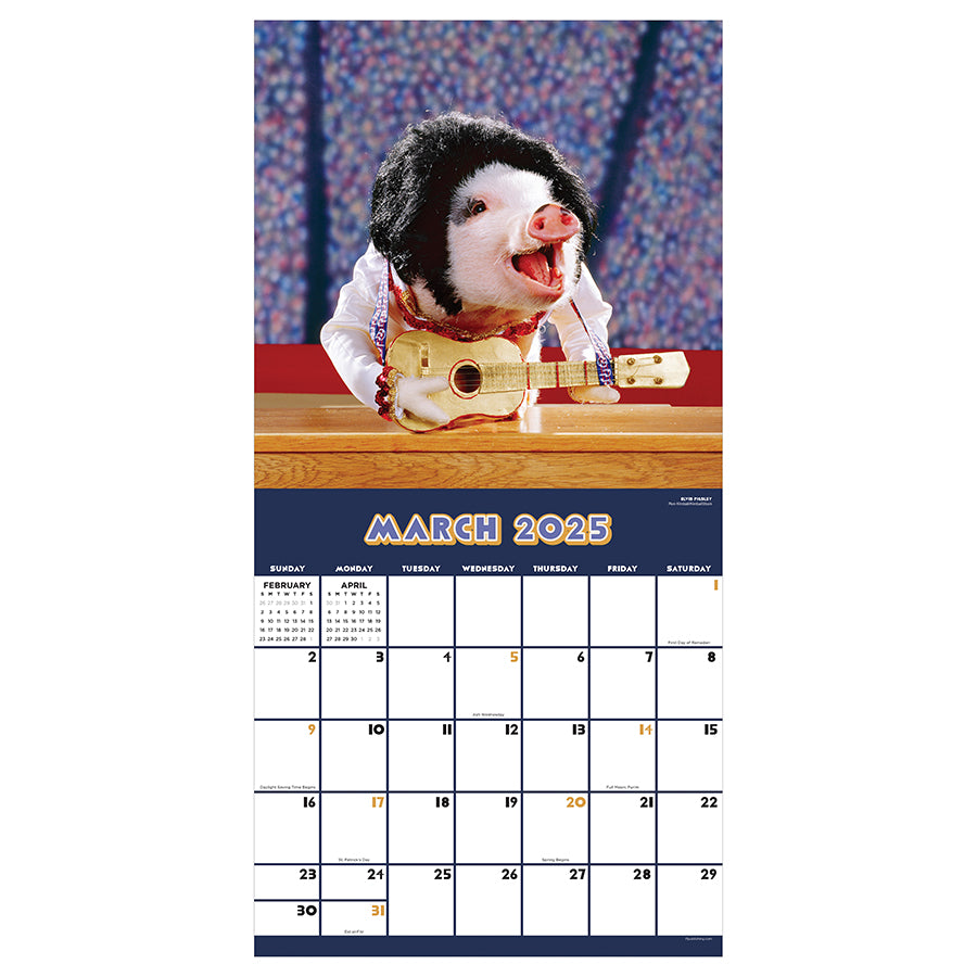 2025 Playful Pigs Wall Calendar - 0