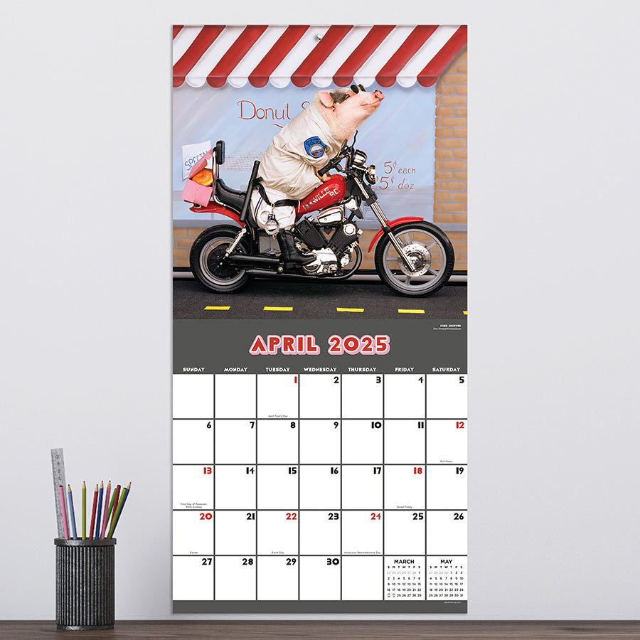 Pig Full Wall Calendar 2025