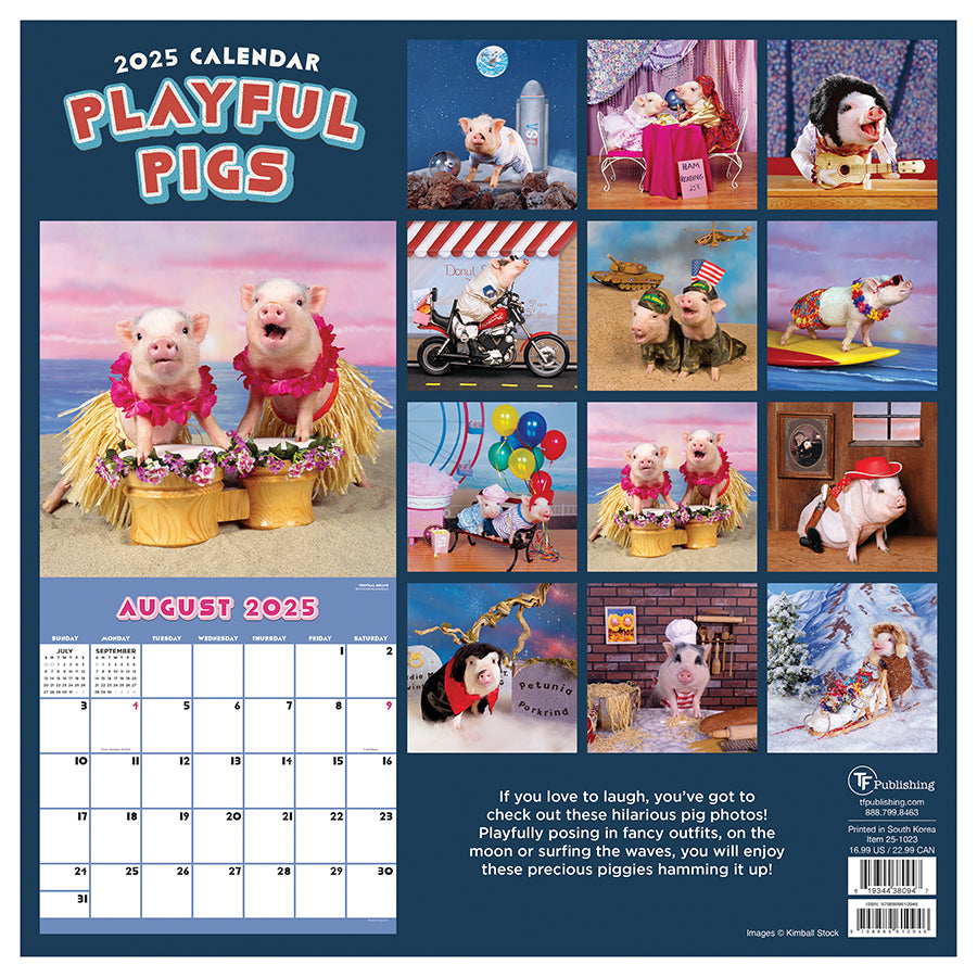 2025 Playful Pigs Wall Calendar TF Publishing Calendars + Planners