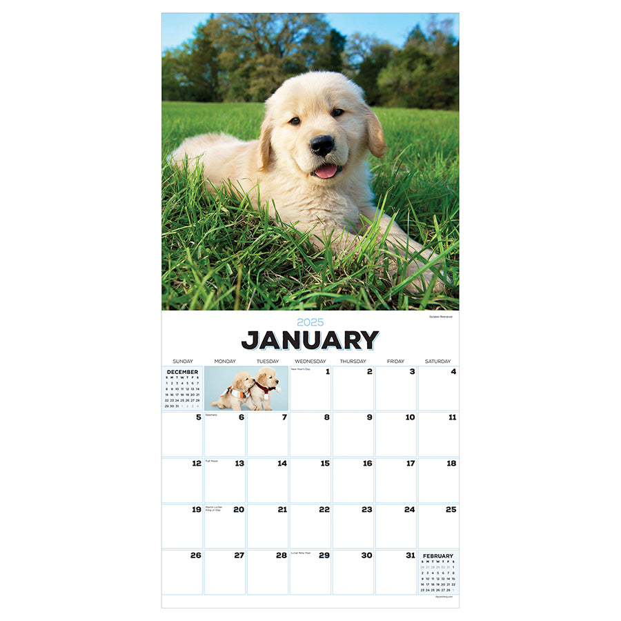 2025 Puppies Wall Calendar - 0