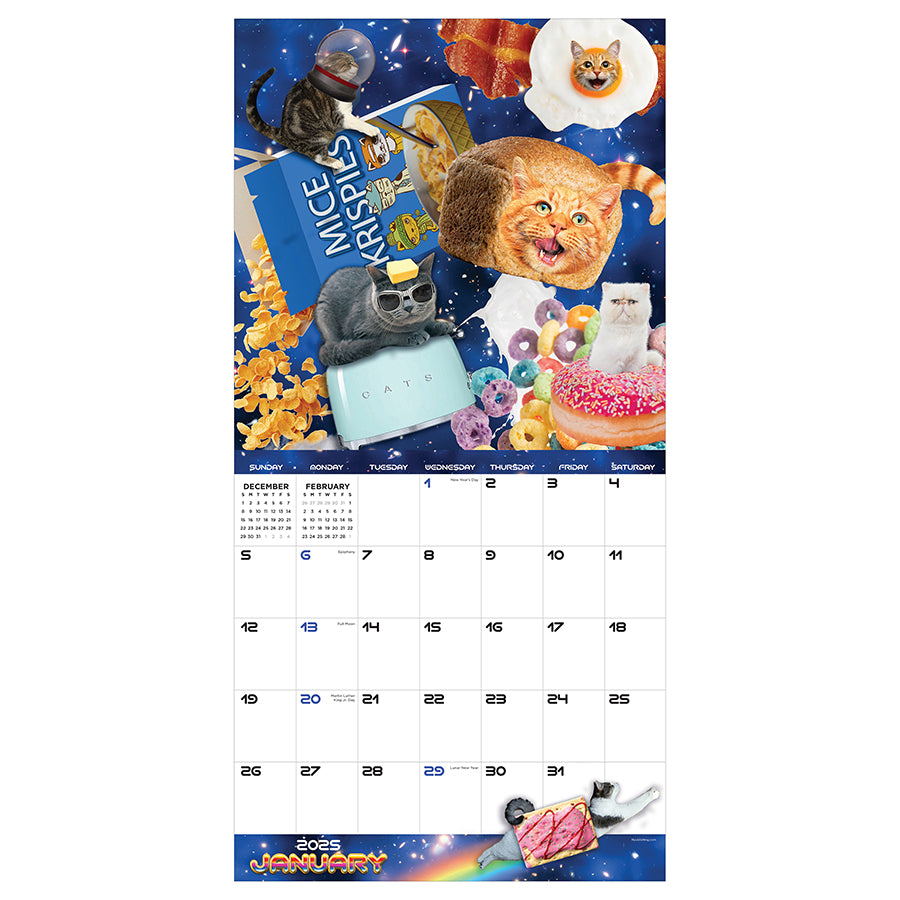 2025 Space Cats Wall Calendar - 0