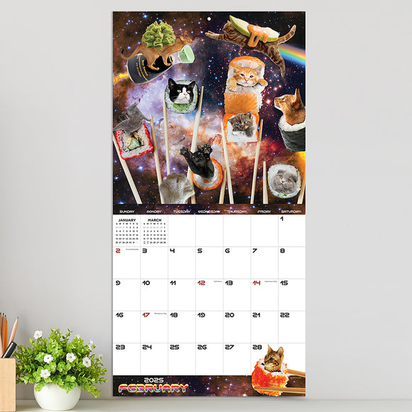 2025 Space Cats Wall Calendar TF Publishing Calendars + Planners