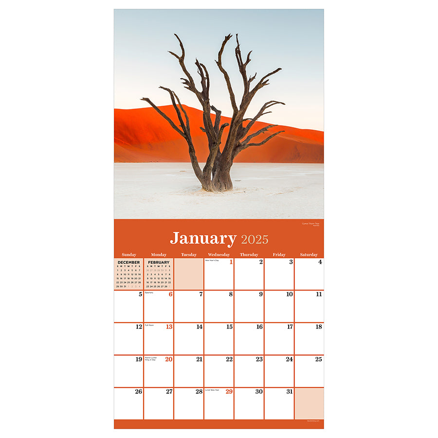 2025 Trees Wall Calendar