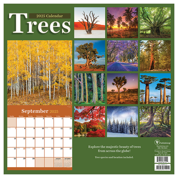 2025 Trees Wall Calendar TF Publishing Calendars + Planners