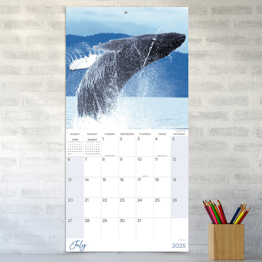 2025 Wild Wall Calendar