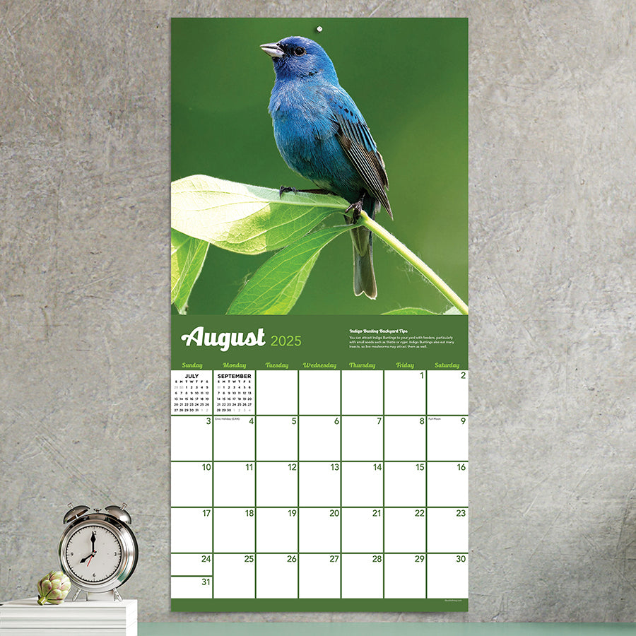 2025 Backyard Birds Wall Calendar TF Publishing Calendars