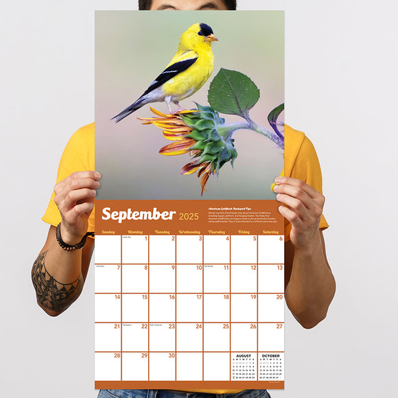 2025 Backyard Birds Wall Calendar TF Publishing Calendars