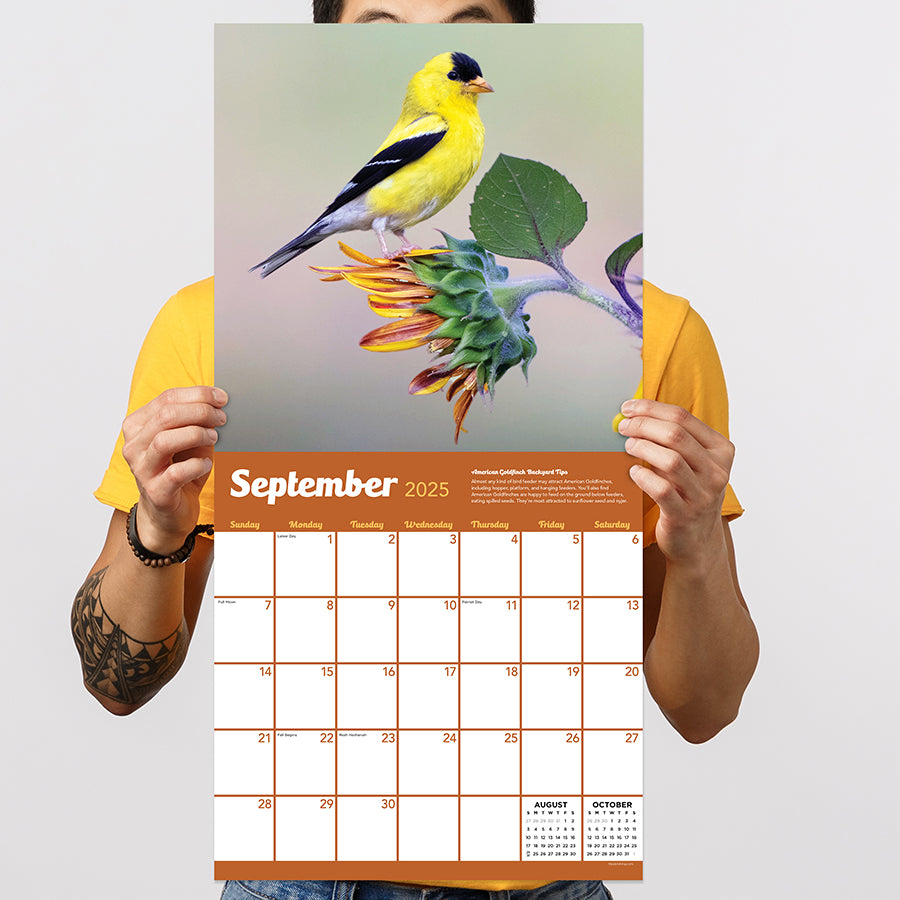 2025 Backyard Birds Wall Calendar