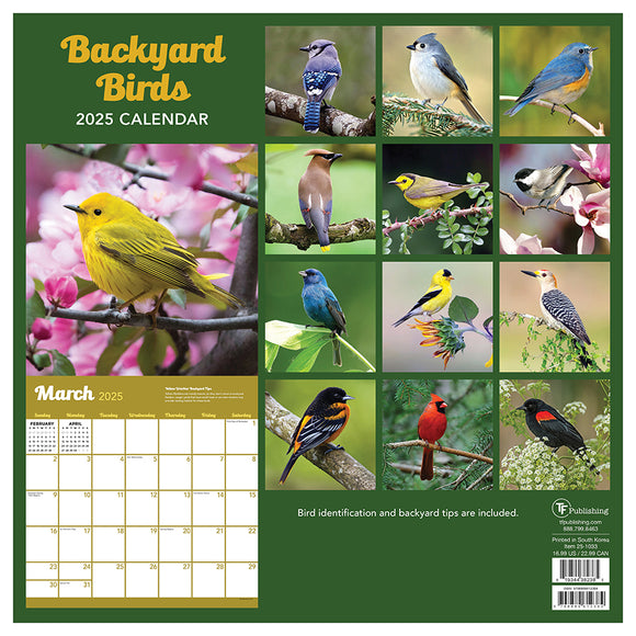 Backyard Birds Calendar 2025 Carma