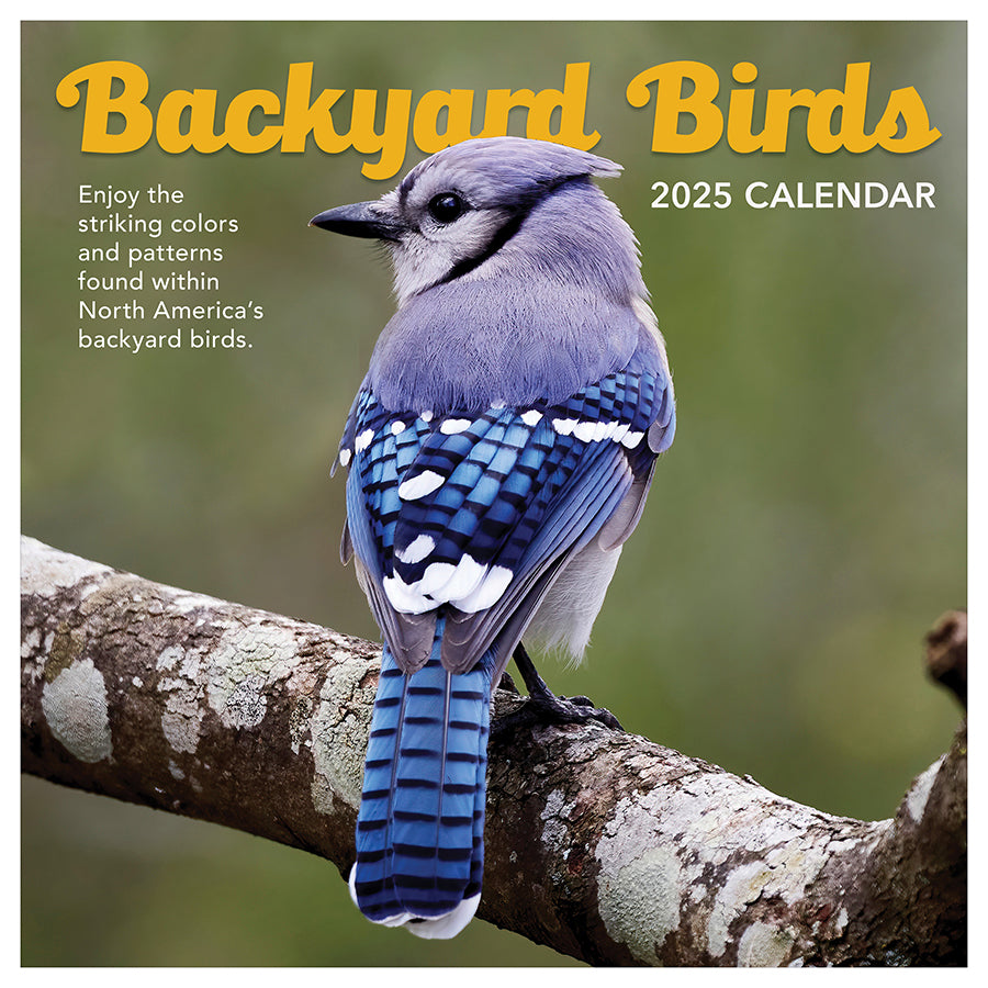 2025 Backyard Birds Wall Calendar