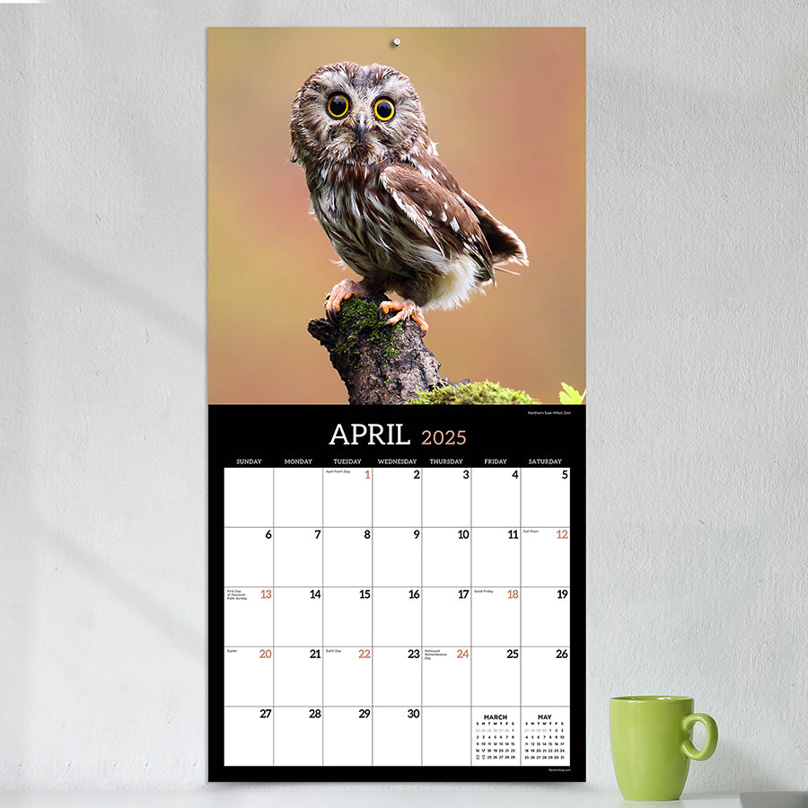 **FINAL SALE** 2025 Owls Wall Calendar