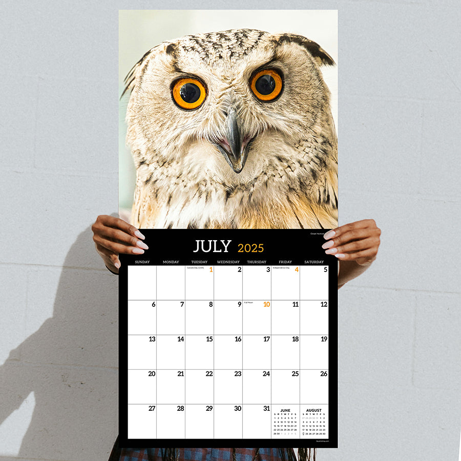 **FINAL SALE** 2025 Owls Wall Calendar