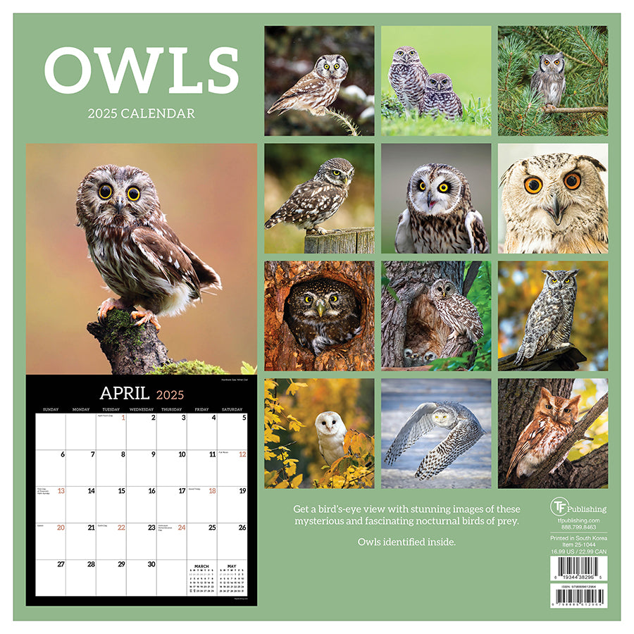 2025 Owls Wall Calendar