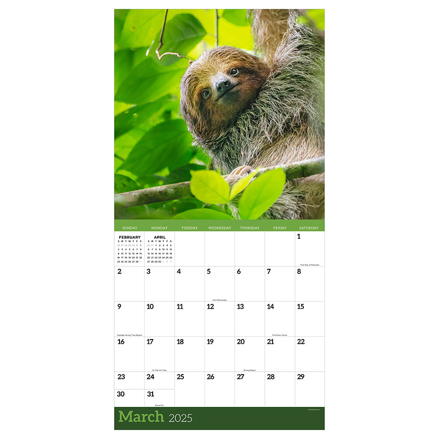 2025 Sloths Wall Calendar - 0