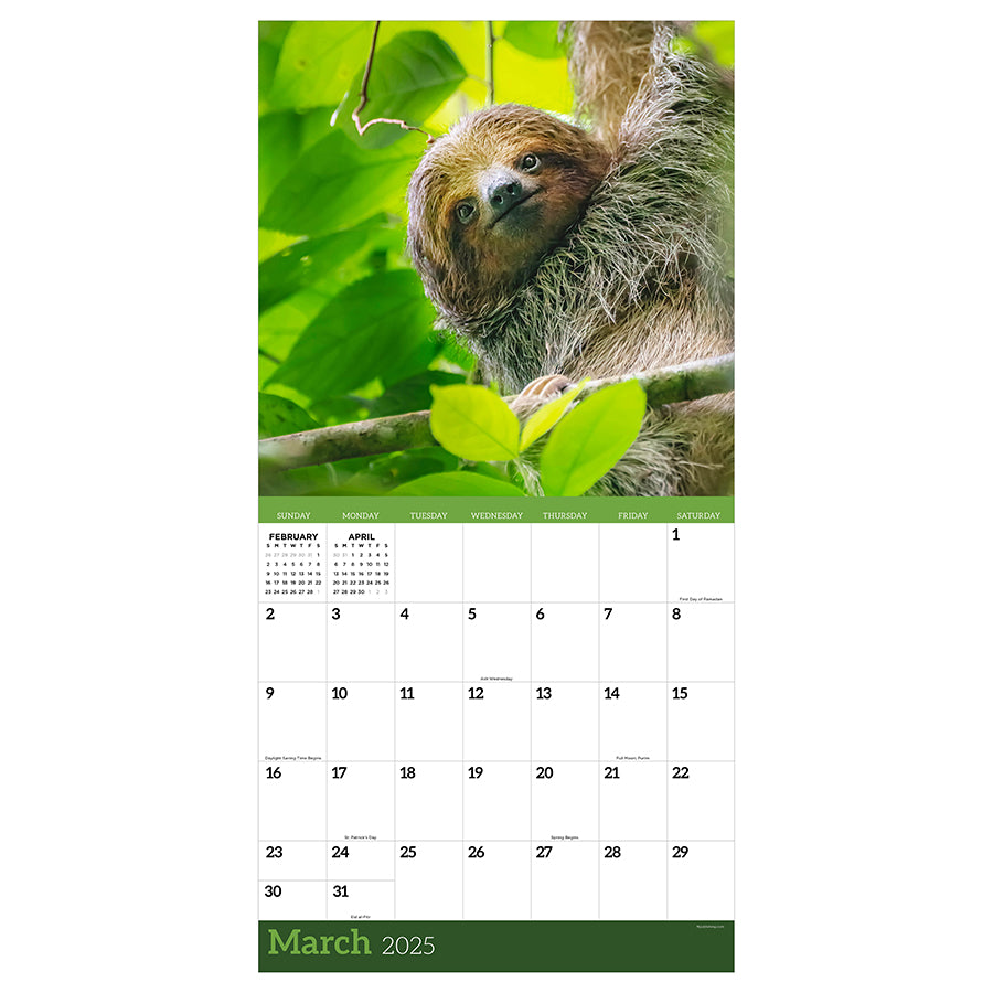 2025 Sloths Wall Calendar TF Publishing Calendars + Planners