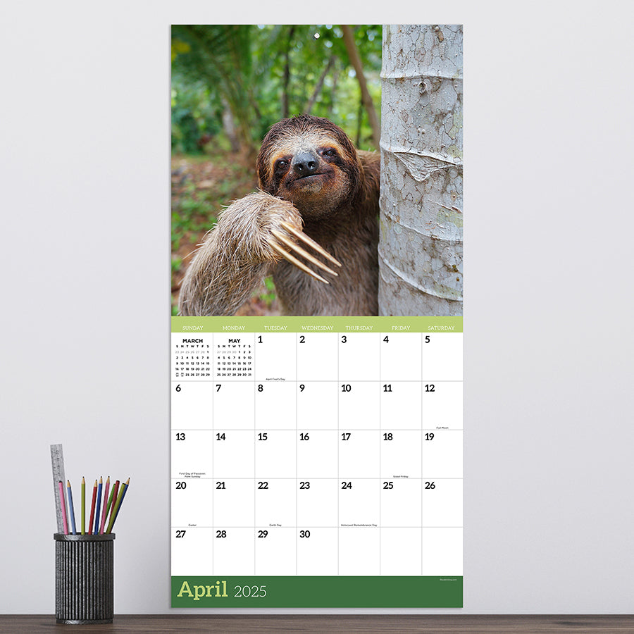 2025 Sloths Wall Calendar TF Publishing Calendars + Planners