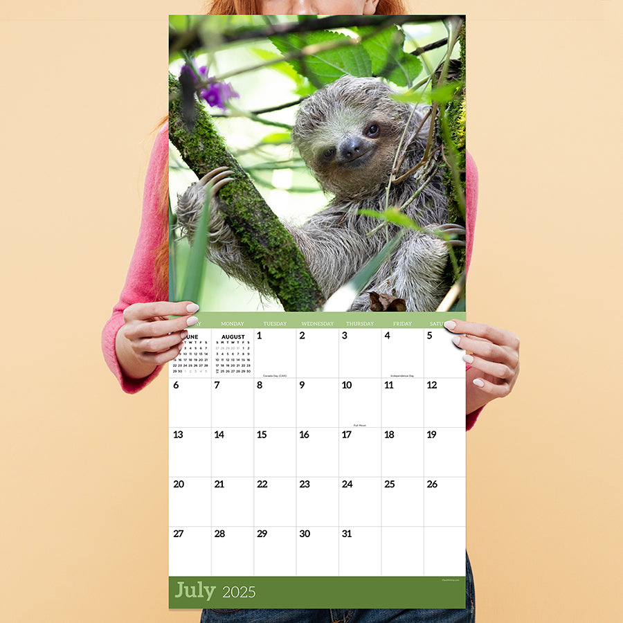 2025 Sloths Wall Calendar TF Publishing Calendars + Planners